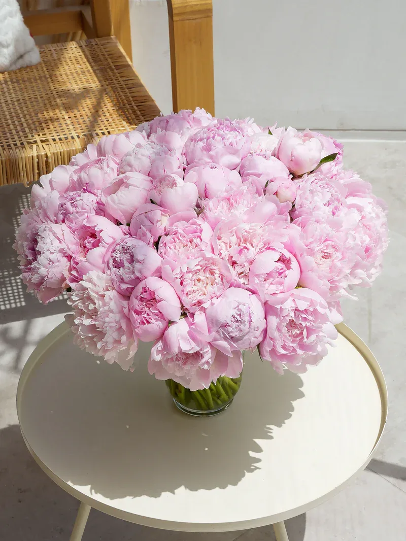 50 Dreamy Pink Peony