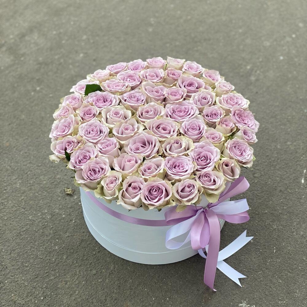 Purple Lover