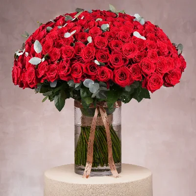 201 Red Roses Vase