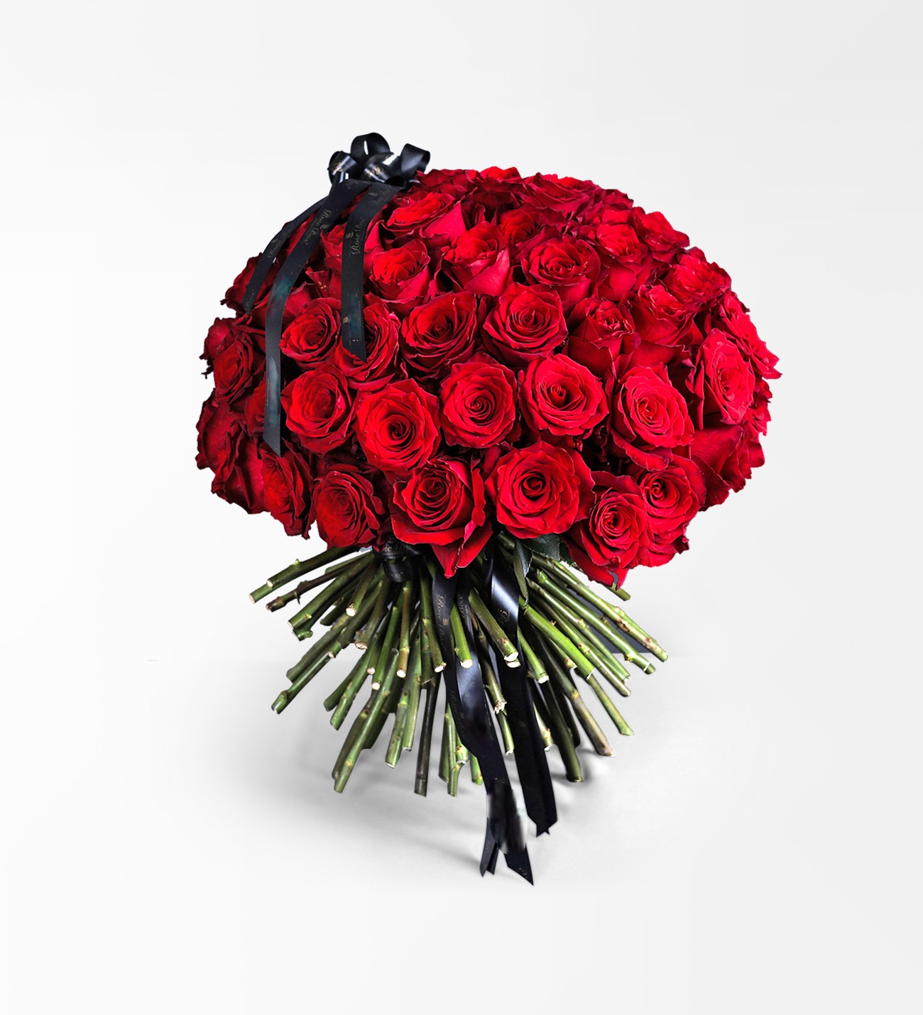 101 Red Roses – VD Series