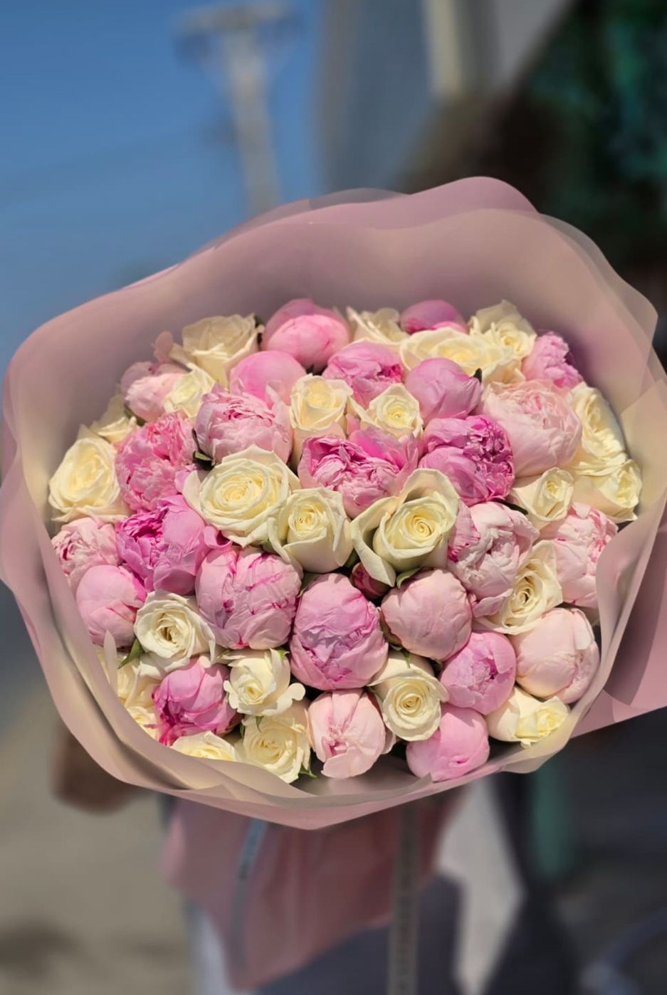 Peony & Rose Delight
