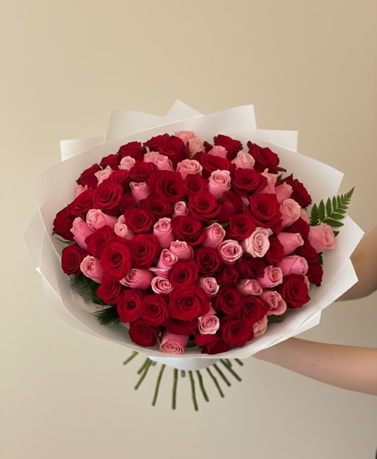 101 Red Pink Mix