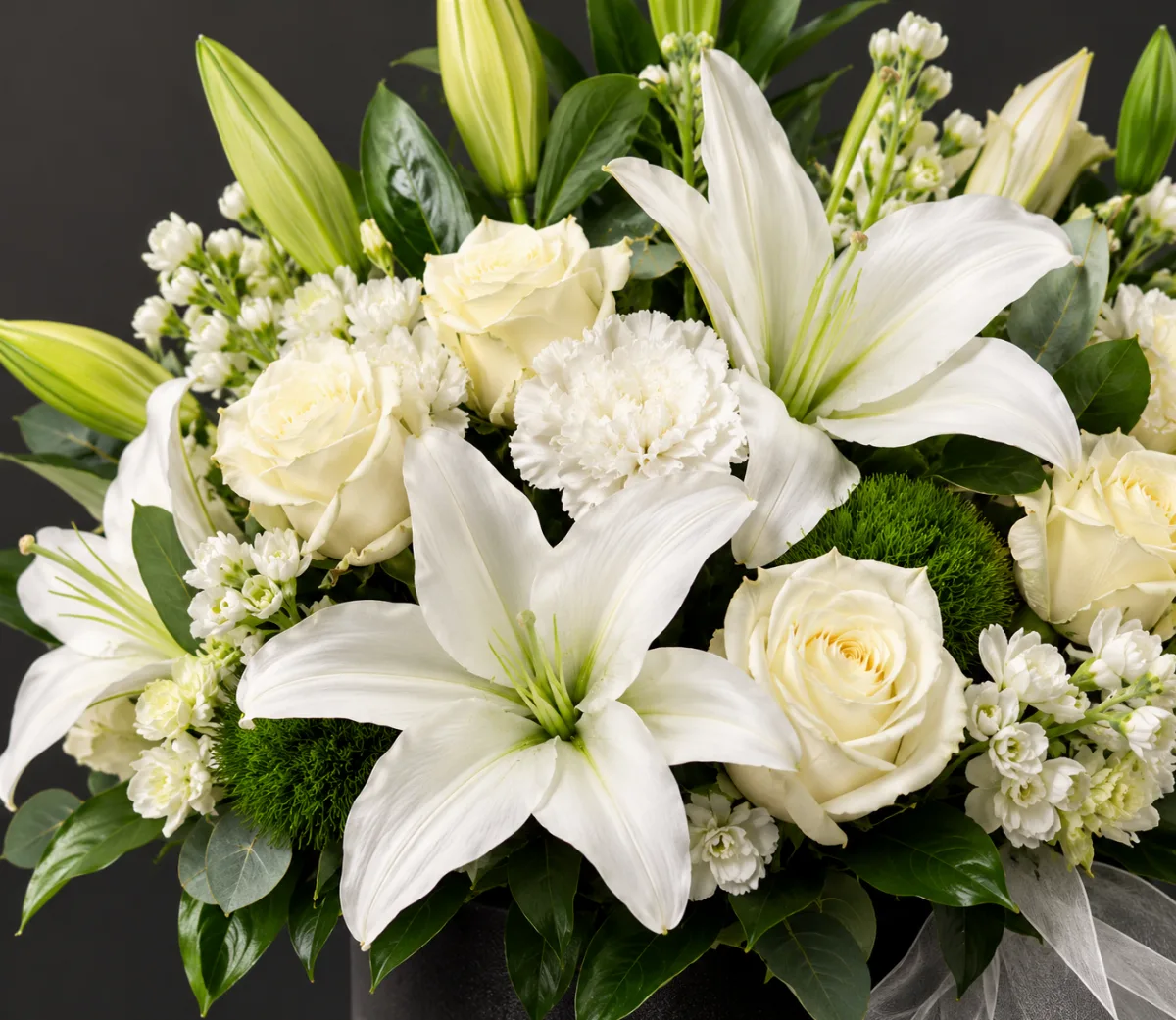 Midnight White Elegance