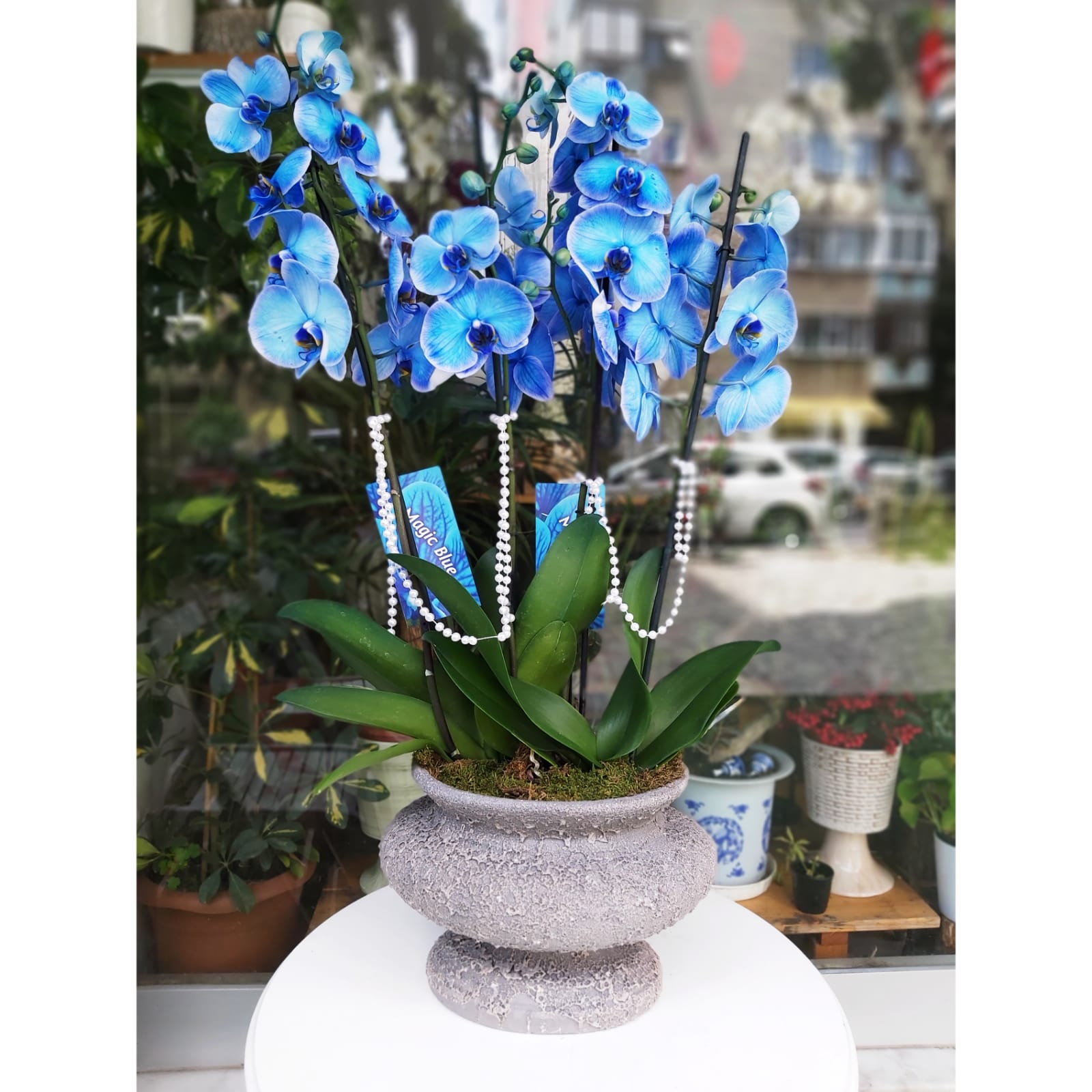 My Sky Blue