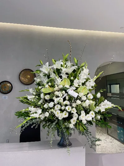 Paradise Flowers