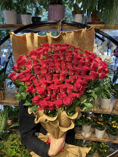 VIP 101 Red Roses