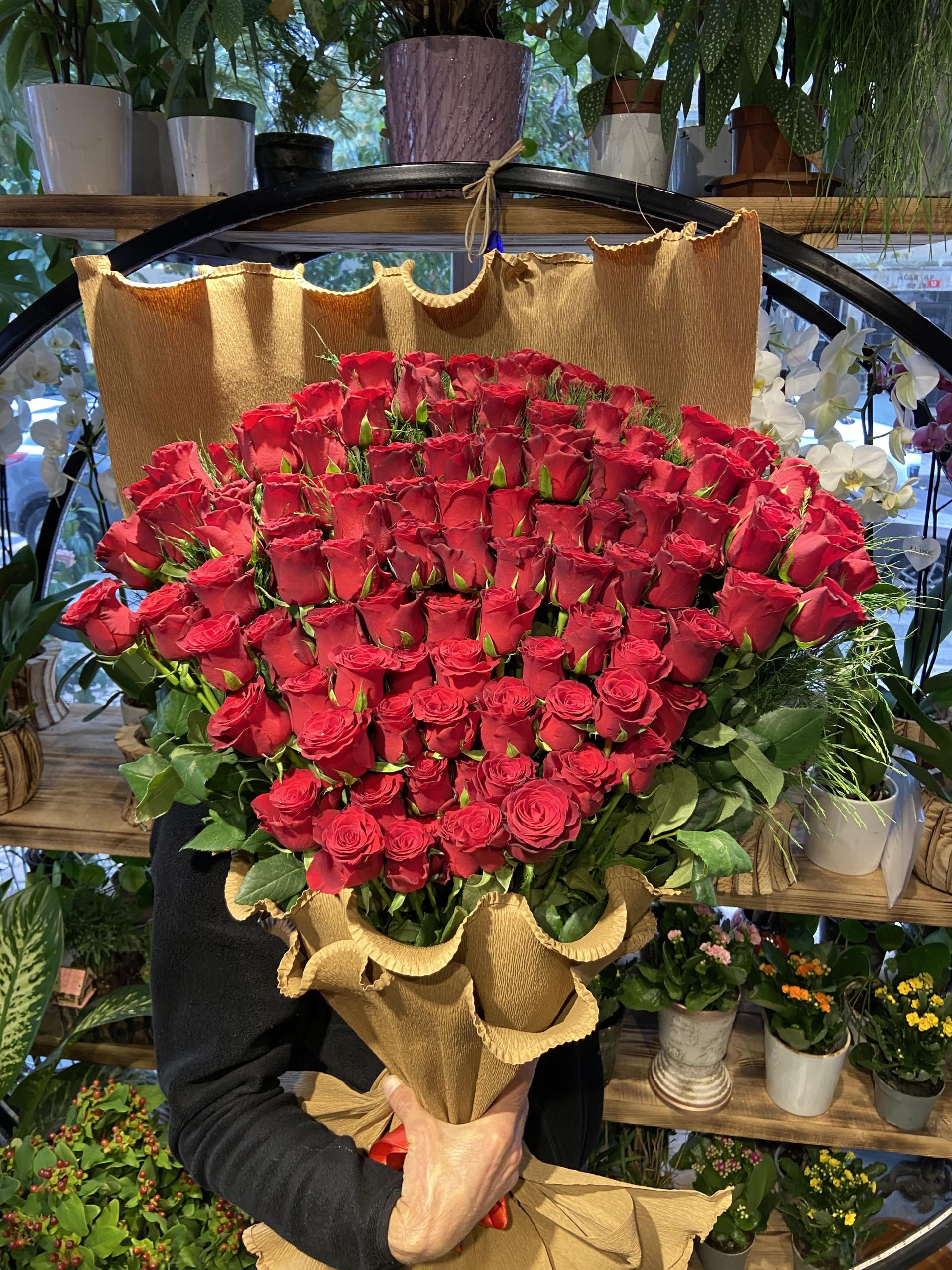 VIP 101 Red Roses