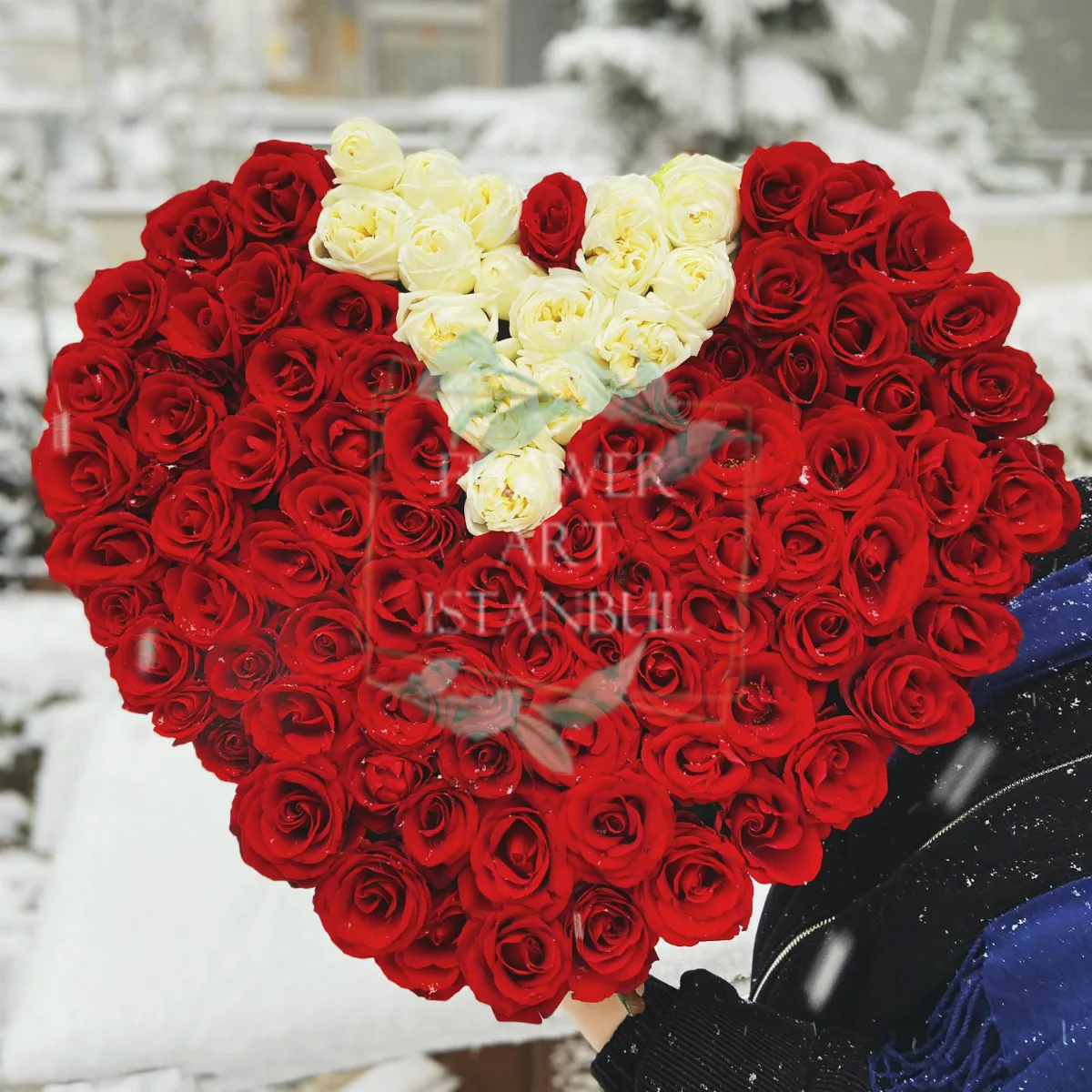 HEART SHAPE ROSES WHITE RED ROSES