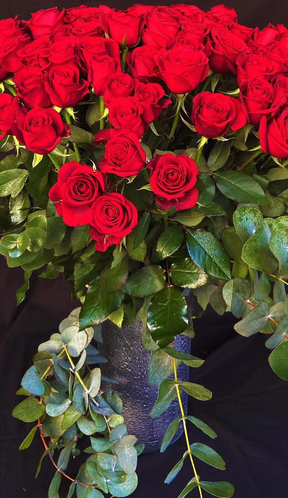 101 Red roses