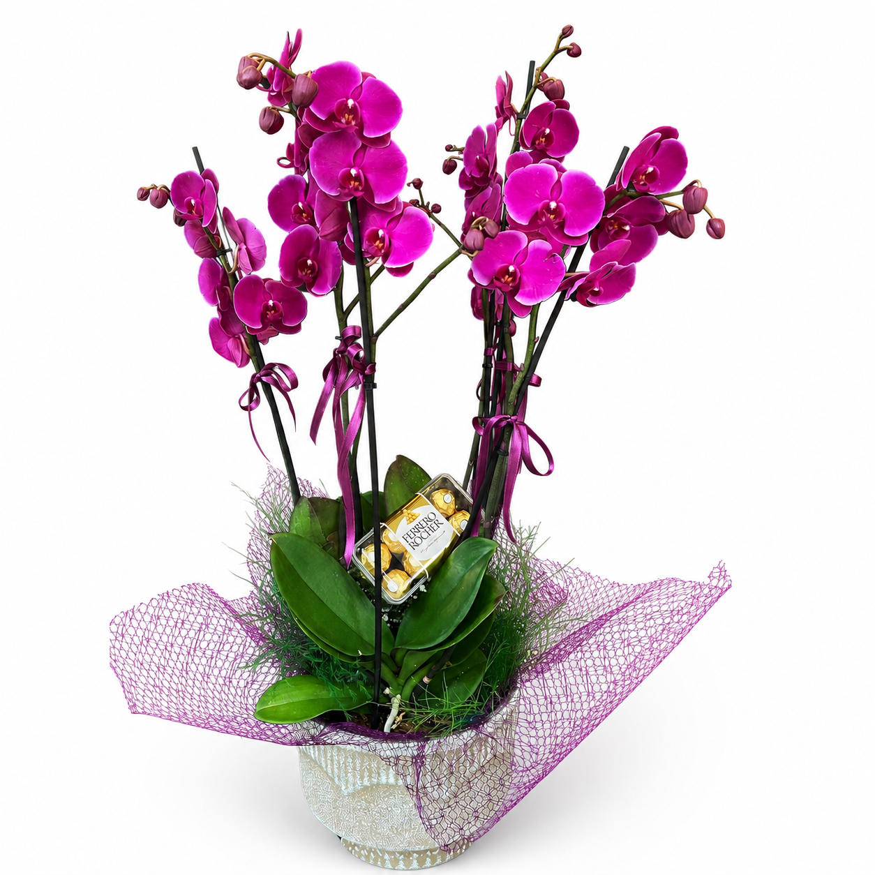 Purple Orchid Garden & Ferrero Rocher