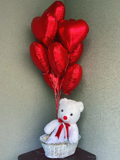 Teddy Lover