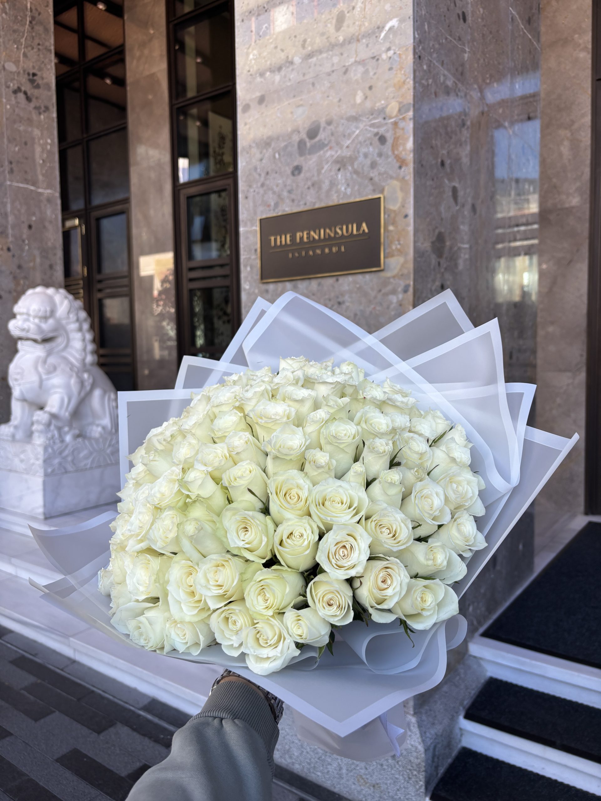 101 White Roses