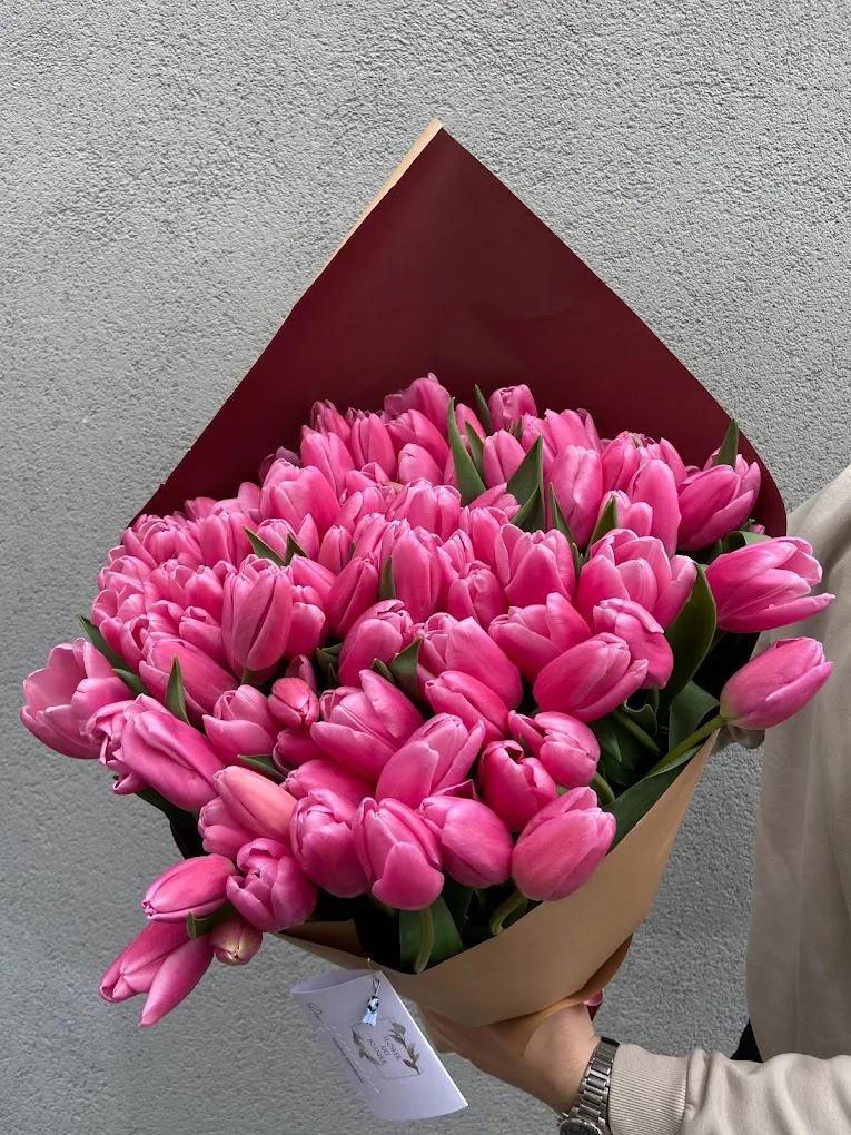Pink Tulips