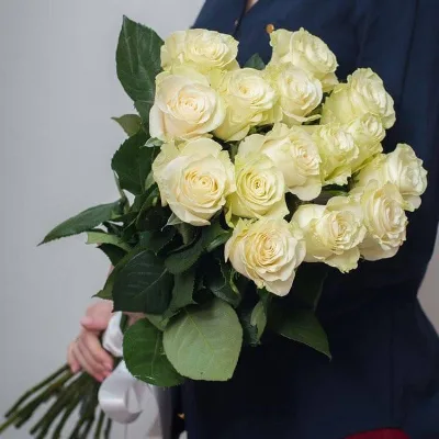 15 White Roses