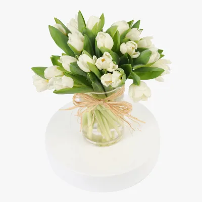 20 White Tulips
