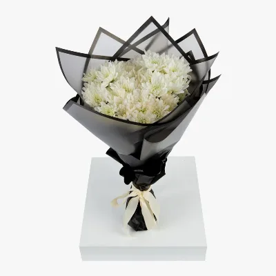 20 White Chrysanthemums