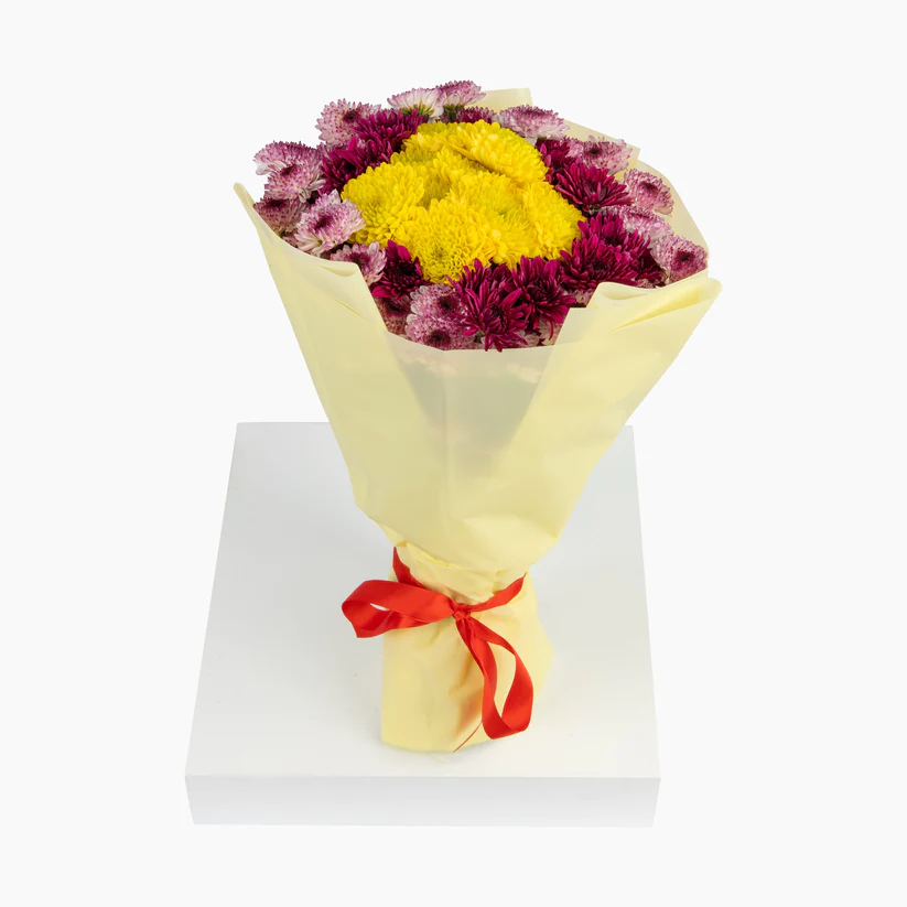 20 Mixed Chrysanthemum Purple Yellow