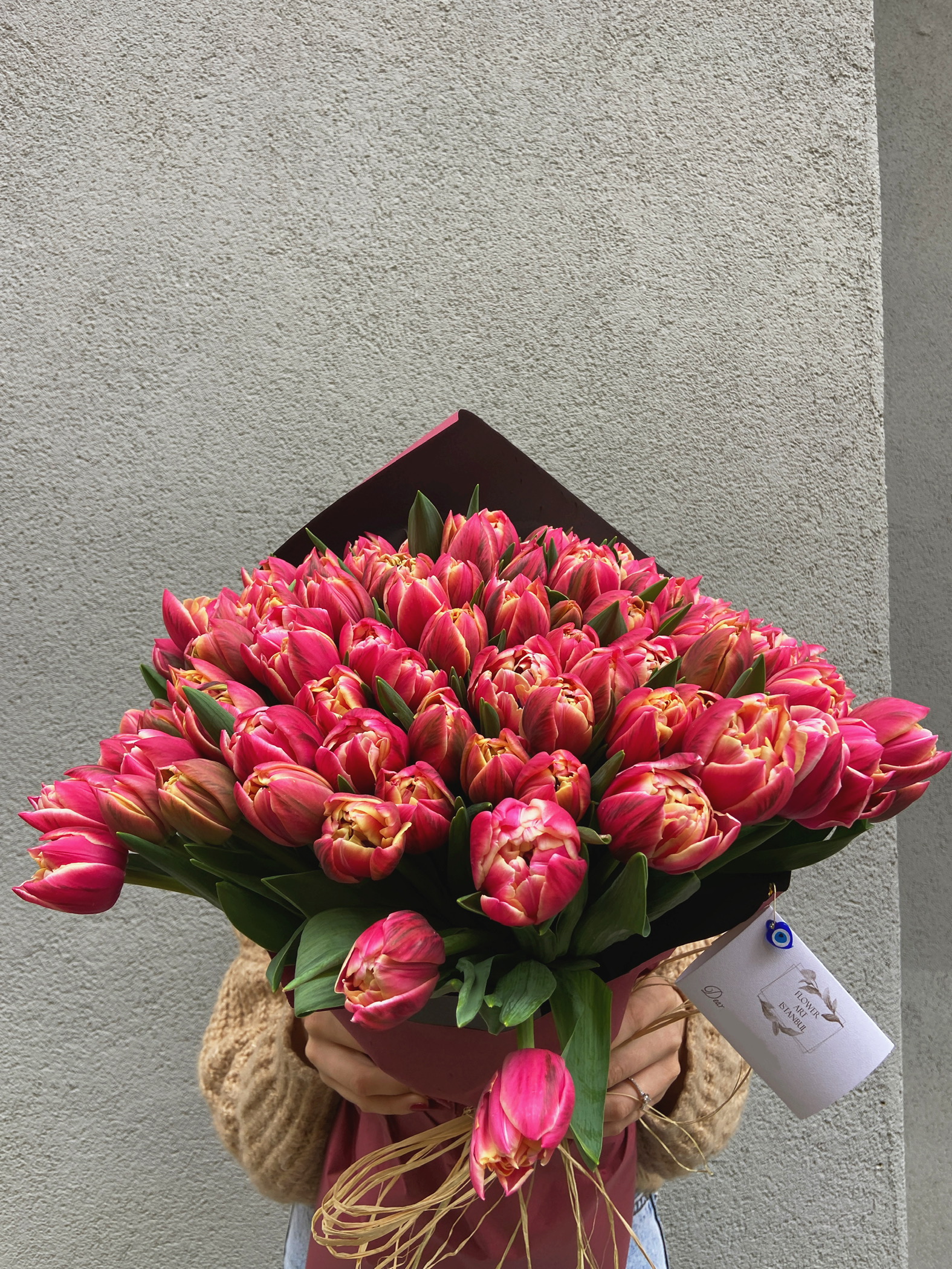 101 Dreamer Tulips