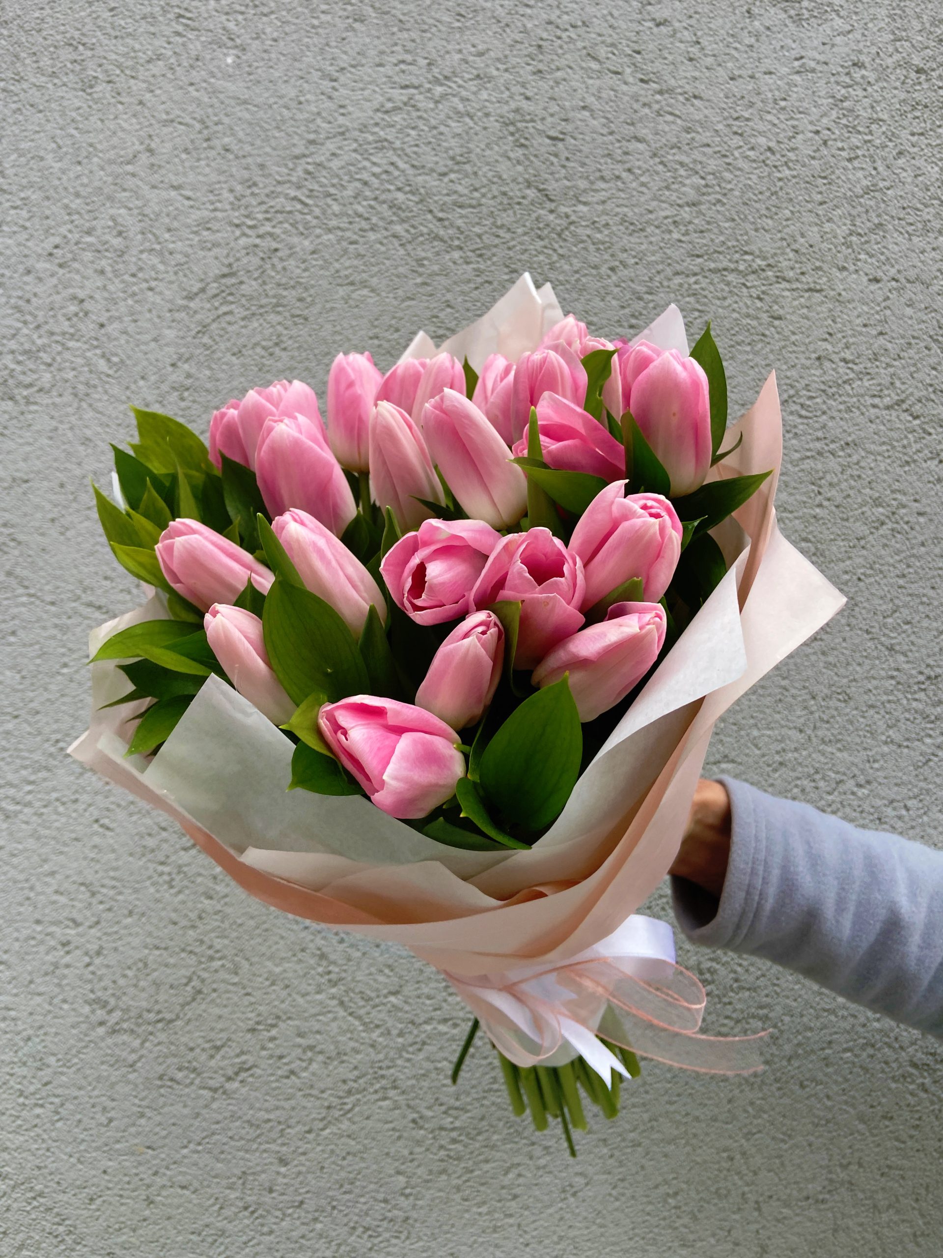 25 Light Pink Tulips