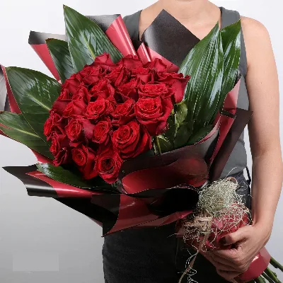 Dalinda Love